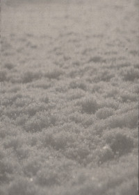 CDPaysage D'hiver / Schnee / Digipack
