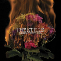 CDStills / Without Feathers