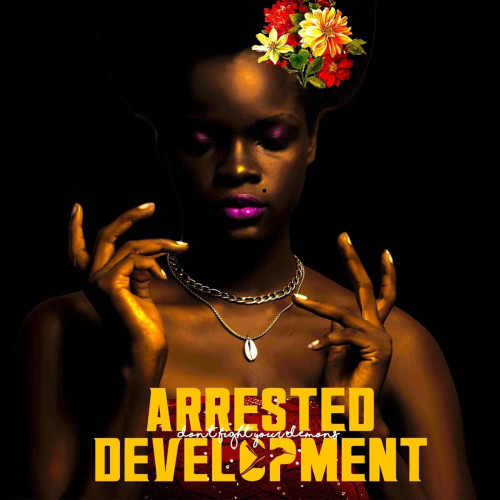 2LP / Arrested Development / Don't Fight Your Demons / Vinyl / 2LP