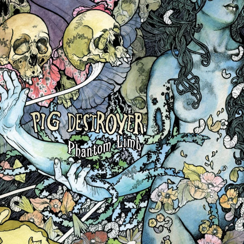 LP / Pig Destroyer / Phantom Limb / Vinyl