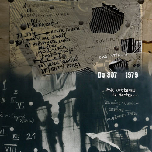 4LP / DG 307 / Dar st�n�m / Pt�k utr�enej ze �et�zu 1979 / 4LP