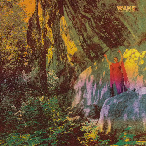 LP / Wake / Thought From Descent / Vinyl