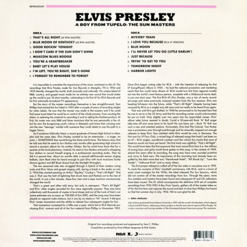 LP / Presley Elvis / Boy From Tupelo:The Sun Masters / Vinyl