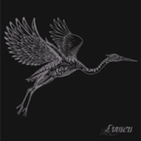 2LPLvmen/Lumen / Heron / Vinyl / Coloured / 2LP
