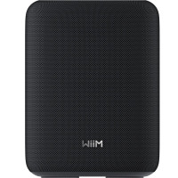 HIFIHIFI / Repro bezdr�tov� WiiM Sound Lite / Black / 1ks