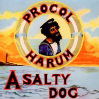 2CDProcol Harum / A Salty Dog / Remastered / 2CD