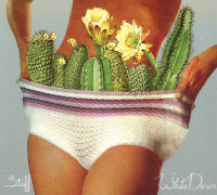 CDWhite Denim / Stiff