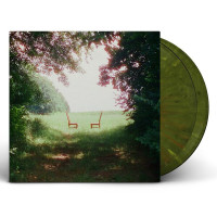 2LPRatboys / Singin' to an Empty Chair / Green Brown / Vinyl / 2LP
