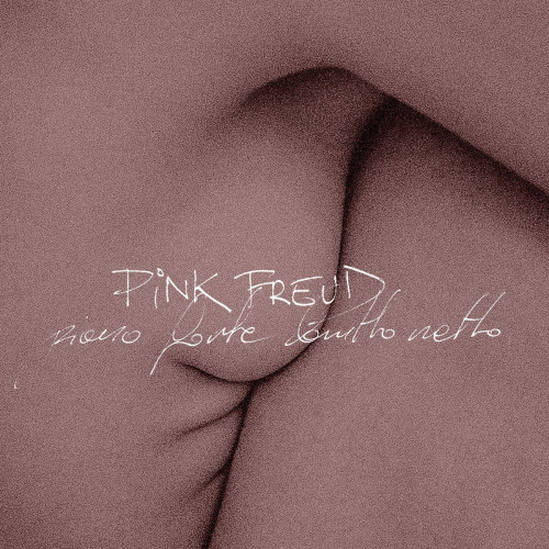 CD / Pink Freud / Piano Forte Brutto Netto / Digipack
