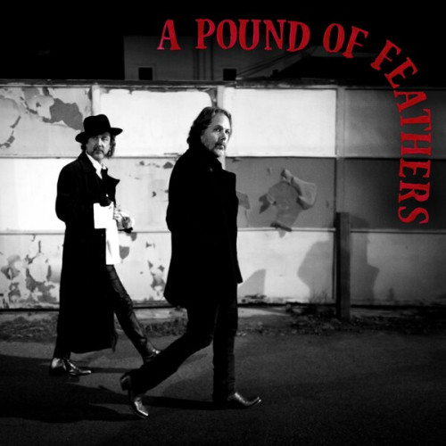 LP / Black Crowes / Pound of Feathers / Vinyl