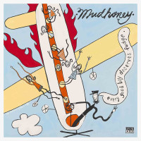 2CDMudhoney / Every Good Boy Deserves Fudge / Anniversary / 2CD
