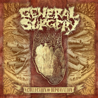 CDGeneral Surgery / Collection Of Depravation
