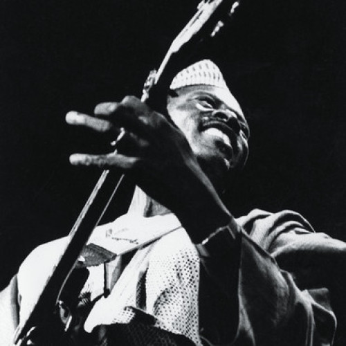 2LP / Toure Ali Farka / Source / Special Edition / Vinyl / 2LP