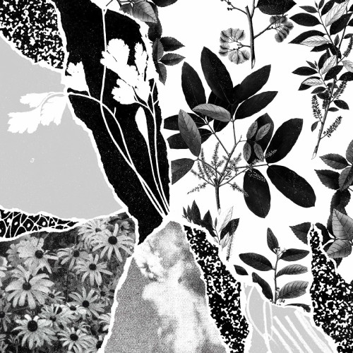 CD / Ponctuation / Mon Herbier Du Monde Entier