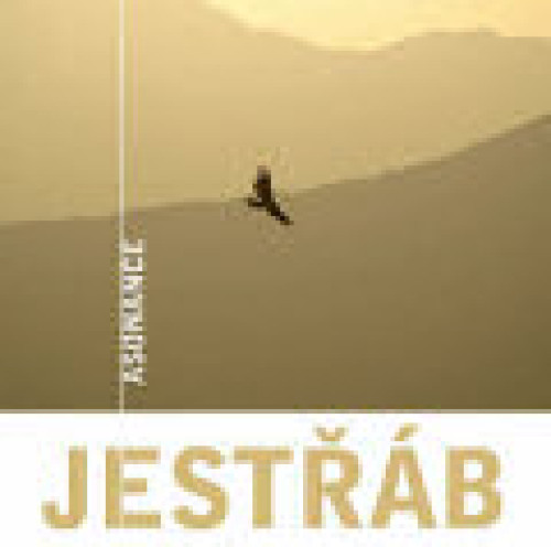 CD / Asonance / Jest��b