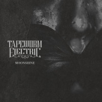 CDTapeworm Electric / Moonshine