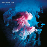 CDPineapple Thief / All The Wars