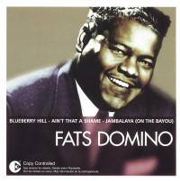 CDDomino Fats / Essential