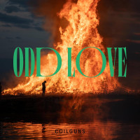 CDCoilguns / Odd Love