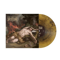 LPVoynich Code / Insomnia / Gold / Vinyl