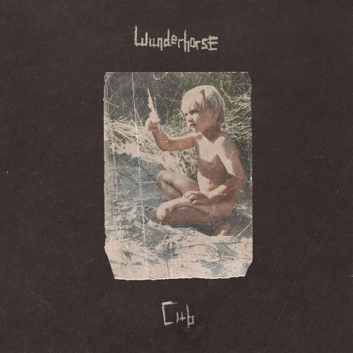 LP / Wunderhorse / Cub / Vinyl