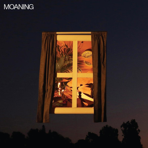 LP / Moaning / Moaning / Vinyl