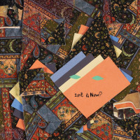 2LPAnimal Collective / Isn't It Now? / 2LP / Vinyl