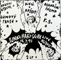 2LPVarious / Punk & Hard-Core Live Hl�zov 16.3.91 / Vinyl / 2LP