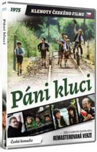DVDFILM / P�ni kluci