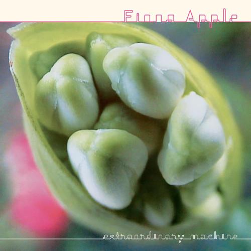 2LP / Apple Fiona / Extraordinary Machine / Vinyl / 2LP