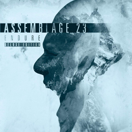 2CD / Assemblage 23 / Endure / DeLuxe Edition / 2CD