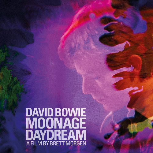 3LP / Bowie David / Moonage Daydream / Vinyl / 3LP