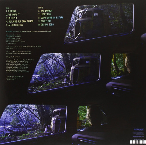 LP / Waco Brothers / Going Down In history / Vinyl