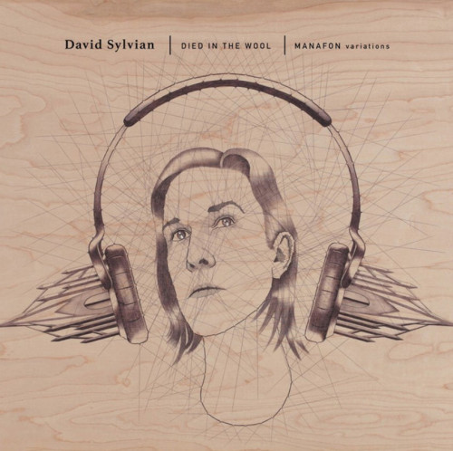 2LP / Sylvian David / Died In The Wool / Manafon Variatiins / Vinyl / 2LP
