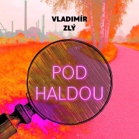 CDZl� Vladim�r / Pod haldou / Gustav Ha�ek / MP3