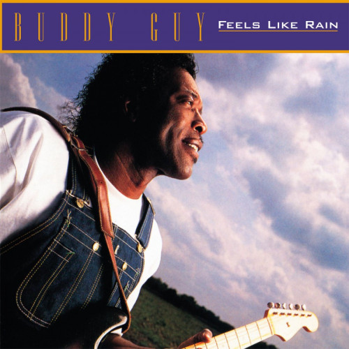 LP / Guy Buddy / Feels Like Rain / Vinyl