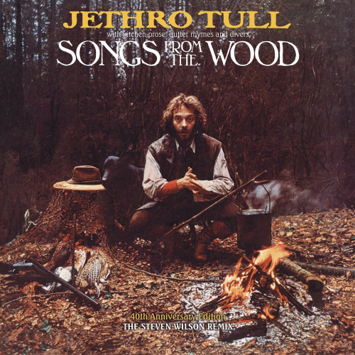 LP / Jethro Tull / Songs From The Wood / Vinyl
