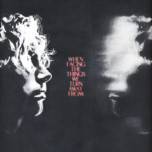 LP / Hemmings Luke / When Facing The Things We Turn / Vinyl