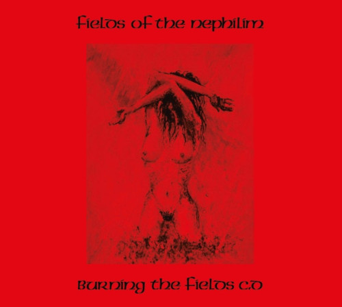 2CD / Fields Of The Nephilim / Burning The Fields / Digipack / 2CD