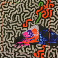 CDAnimal Collective / Tangerine Reef / Digisleeve