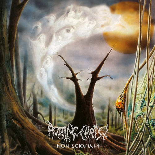 CD / Rotting Christ / Non Serviam / 2022 Reissue / Digipack
