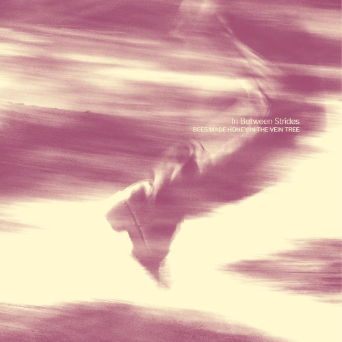 CD / Bees Made Honey In The Vein Tree / In Between Strides / Digipack