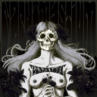 CDNachtmystium / Assassins:Black Meddle Pt. I