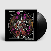 LPLunar Effect / Calm Before Calm / Vinyl
