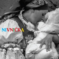 CDNivni�ka / M�j mil�
