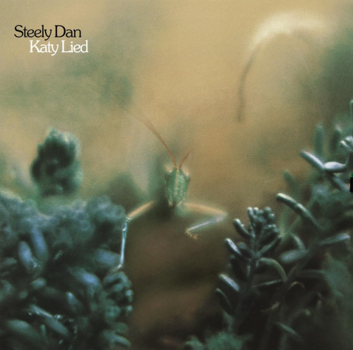 LP / Steely Dan / Katy Lied / Vinyl