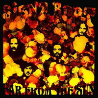 LPSiena Root / Far From the Sun / Coloured / Vinyl