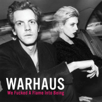 LPWarhaus / We Fucked A Flame Into Being / Vinyl