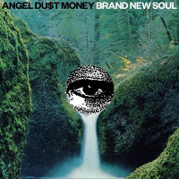 LPAngel Du$t / Brand New Soul / Vinyl / Colored