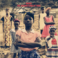 2LPImany / Wrong Kind Of War / Vinyl / 2LP